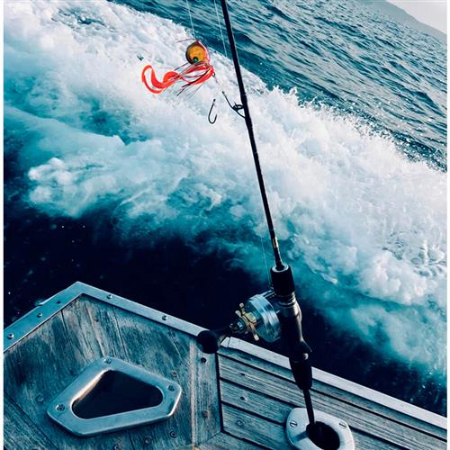 Isca Tiger Baku Baku