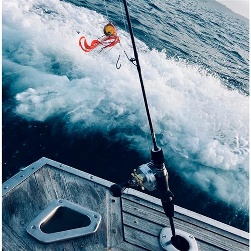 Isca Tiger Baku Baku